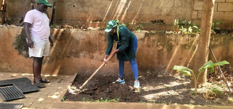 Preping the available space for garden